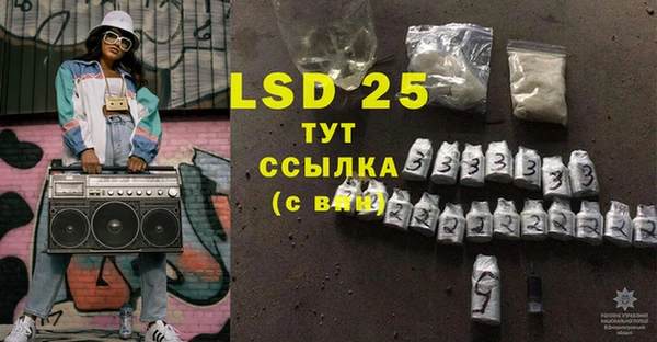 PSILOCYBIN Алзамай