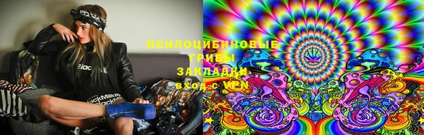 PSILOCYBIN Алзамай