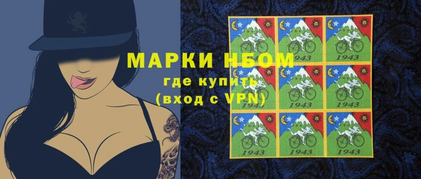 PSILOCYBIN Алзамай