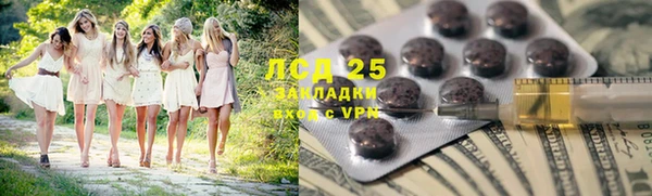 PSILOCYBIN Алзамай